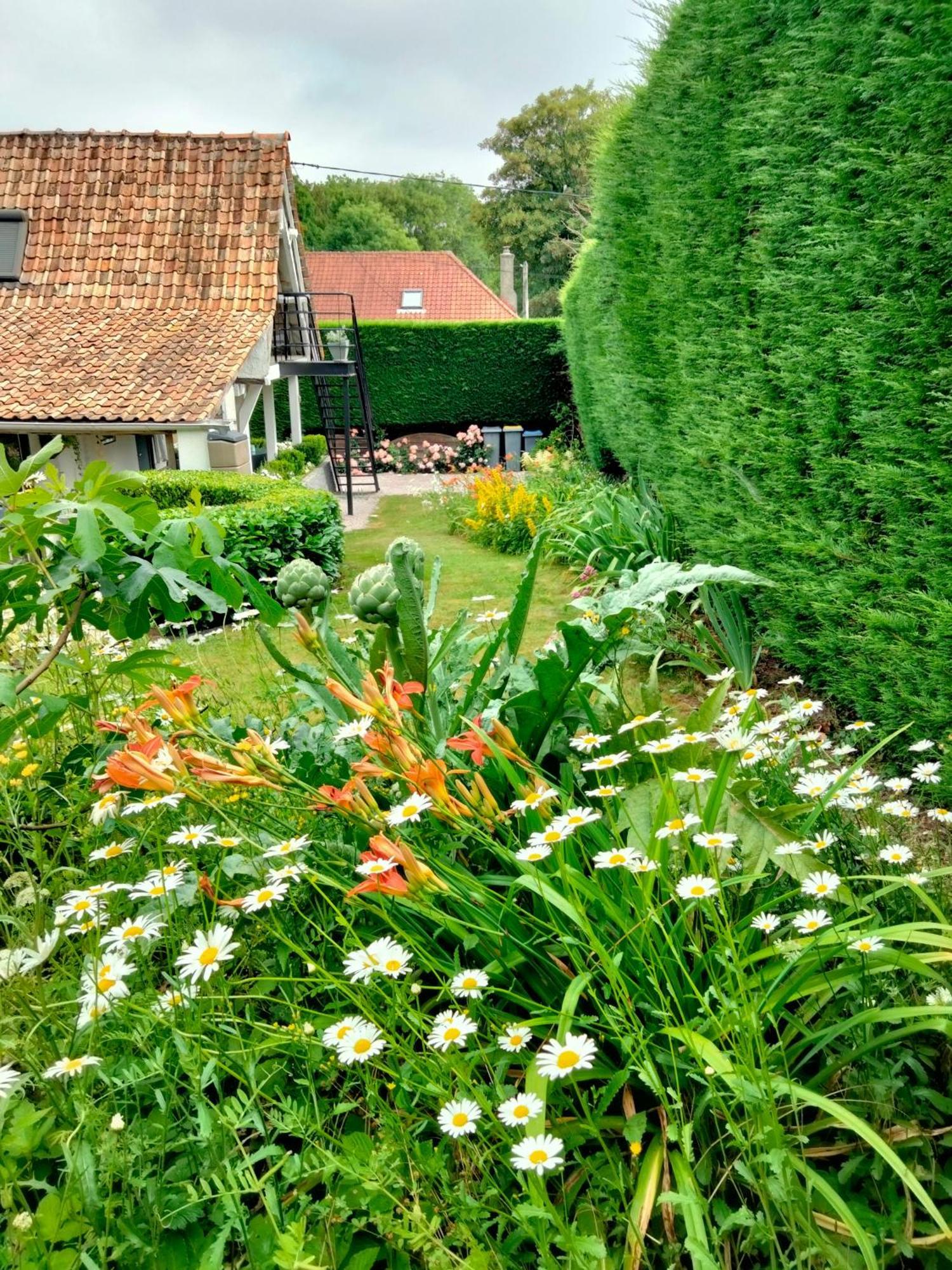 Le Grenier De Mamou Hotel Hesdigneul-les-Boulogne ภายนอก รูปภาพ